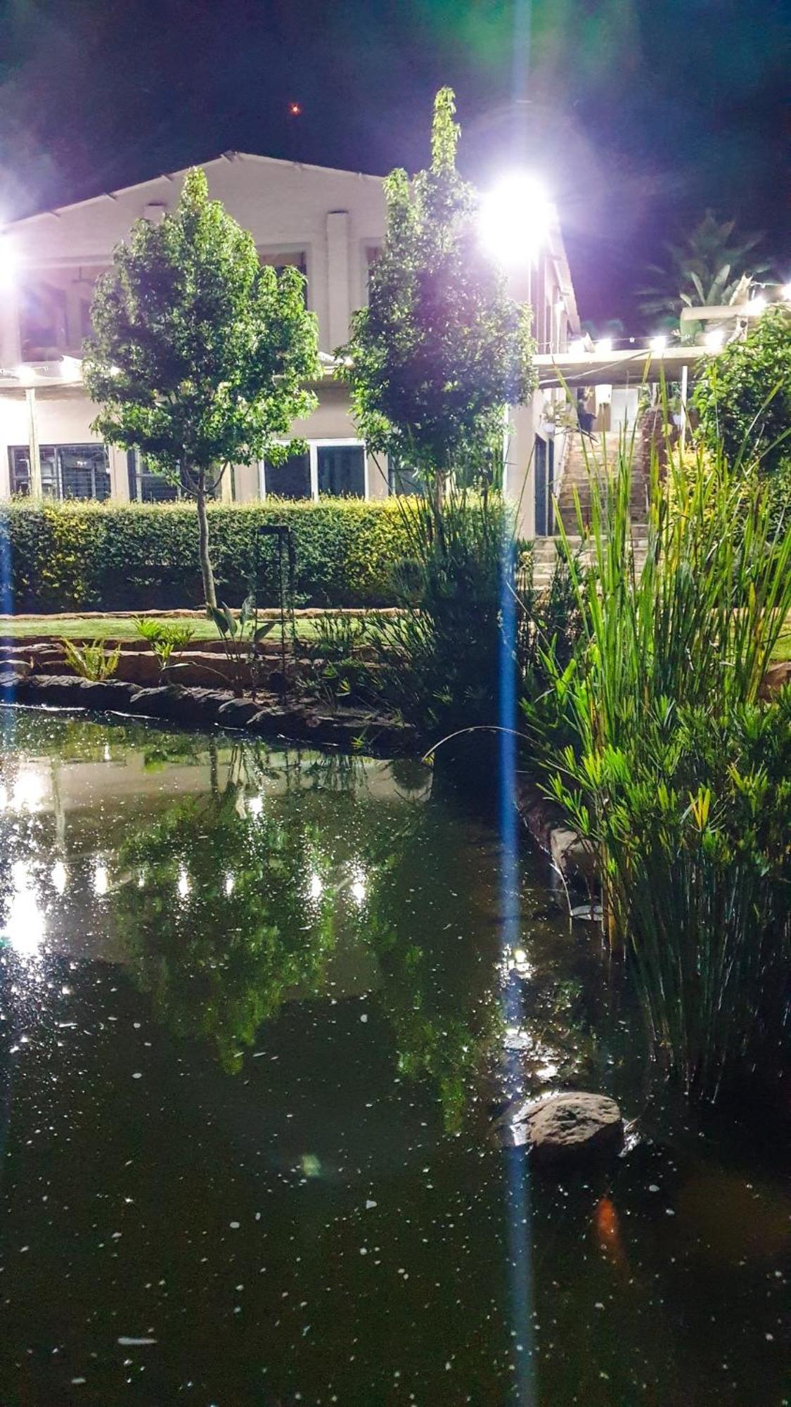 Apartment Koi